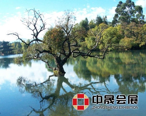 树